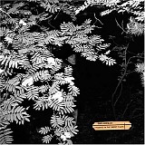 Dolorean - Violence In The Snowy Fields