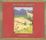 The New Pornographers - Mass Romantic