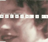 Pernice Brothers - Working Girls