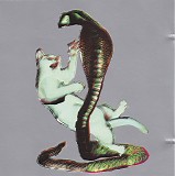 Les Savy Fav - The Cat And The Cobra