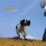 The Cardigans - Emmerdale (Remastered)