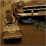 Mr.Big - Unknown Album
