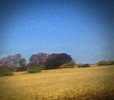 Sun Kil Moon - Benji