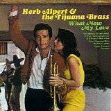 Herb Alpert & The Tijuana Brass - What Now My Love