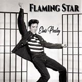 Elvis Presley - Flaming Star