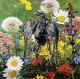 Current 93 - Swastikas For Noddy / Crooked Crosses For The Nodding God