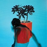 Local Natives - Sunlit Youth