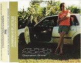 Stephen Malkmus - Discretion Grove