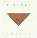 A Minor Forest - Inindependence