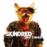 Skindred - Big Tings (2018) [320]