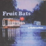 Fruit Bats - Echolocation