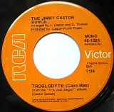 The Jimmy Castor Bunch - Troglodyte (Cave Man)