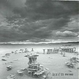 Roach Steve - Day Out Of Time