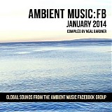 Ambient music Facebook group - Ambient Music: FB - January 2014