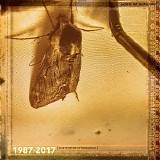 Norwood Jason M. - Transverse Orientation (1987-2017)