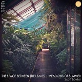 Lawlor Scott - The Space Between The Leaves - Meadows Of Summer
