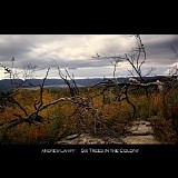 Lahiff Andrew - Six Trees in the Colony