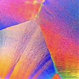 Jupi/Ter - Evelyn