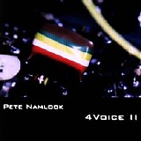 Namlook Pete - 4Voice II