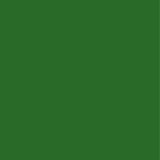 Kosmonaut - Green