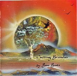 Boots Ron - Cutting Branches [flac]