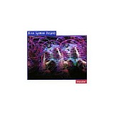Free System Projekt - Impulse