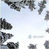 Various artists - All Is Calm 2011