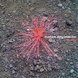 Moebius, Story & Leidecker - Familiar