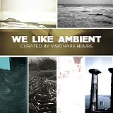 Various artists - We Like Ambient  Curated By Visionary Hours