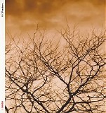 Arc - Fracture