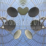 Cousin Silas - Dronescape 011