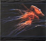 Vorus John - Transmuting Currents