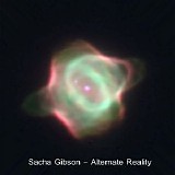 Gibson Sacha - Alternate Reality
