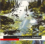 Subsonic Experience - Praposition