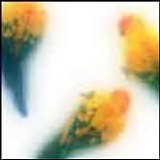 Ashera - Colour Glow
