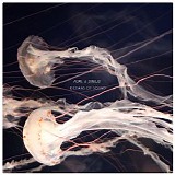 Purl & Sinius - Oceans Of Sound