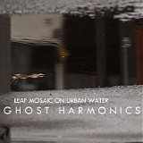 Ghost Harmonics - Leaf Mosiac On Urban Water