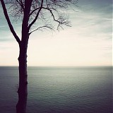 Nonstatic Martin - Sense Of Life