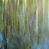 Diphillips Peter - Mystic River Reflections