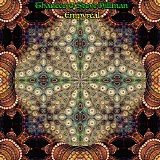 Thaneco & Hillman Steve - Empyreal