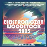 Various artists - Elektroniczny Woodstock 2005 - CD2