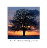 Wmri - Lone Tree Standing On The Edge Of Nowhere