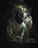 Calabi-Yau - Compactified