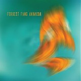 Forrest Fang - Animism