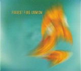 Forrest Fang - Animism