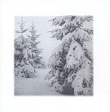 Baghiri Amir & Grassow Mathias - True north