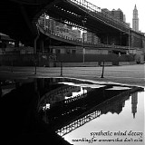Synthetic Mind Decay - Searching For Answers That Don't Exist