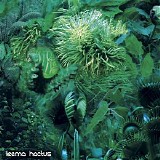 MontanÃ  Lorenzo - Leema Hactus