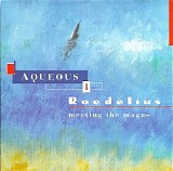 Roedelius Hans Joachim & Aqueous - Meeting The Magus
