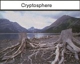 Nightcrawlers - Crytosphere
